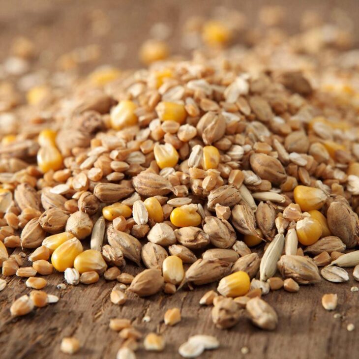 Фото сделано с помощью gigachat