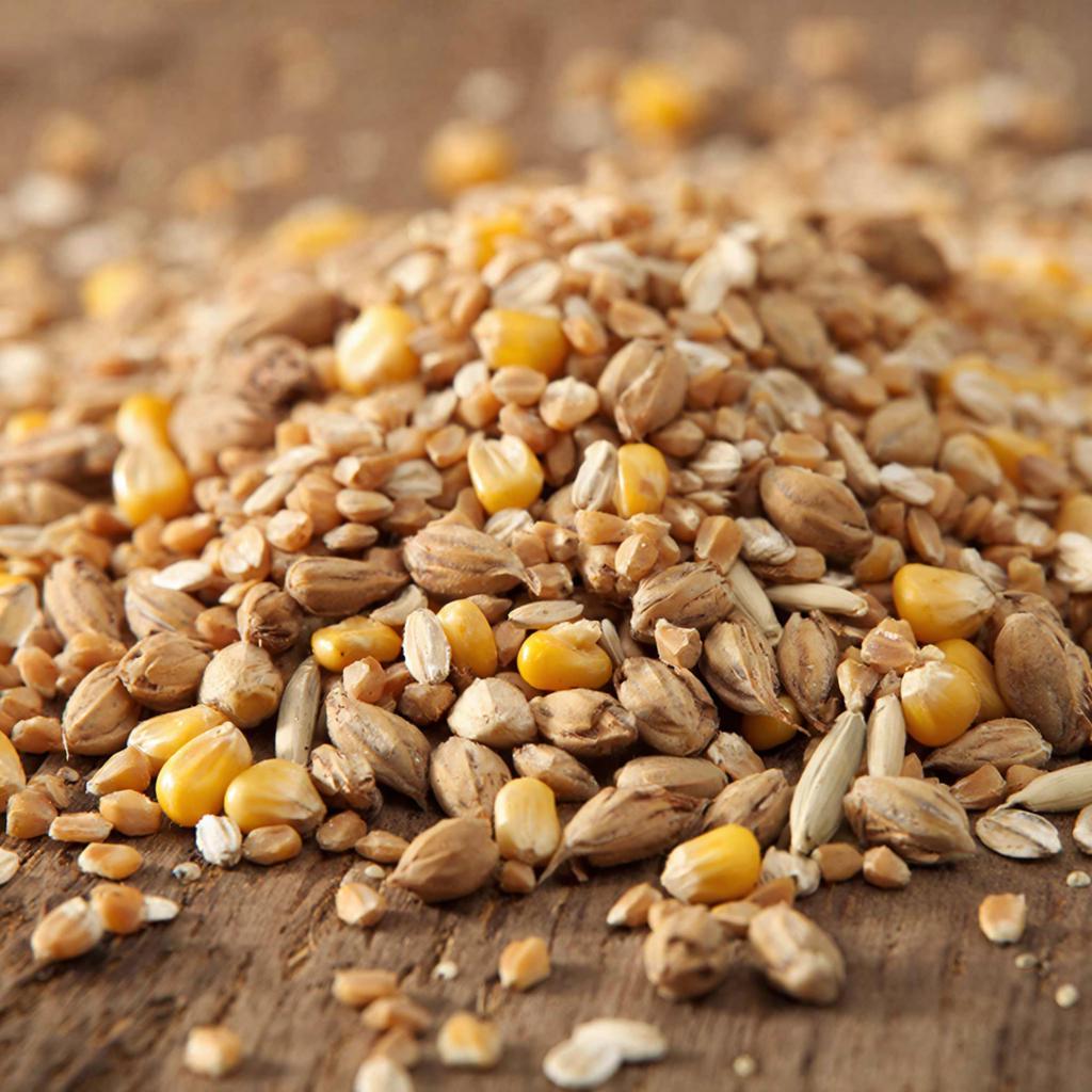 Фото сделано с помощью gigachat