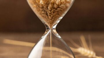 Фото сделано с помощью gigachat