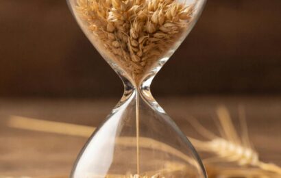 Фото сделано с помощью gigachat