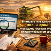 изображение сделано с помощью chatgpt