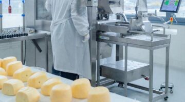 Фото сделано с помощью gigachat