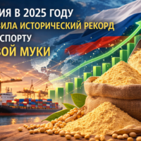 изображение сделано с помощью chatgpt