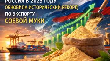 изображение сделано с помощью chatgpt