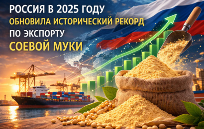 изображение сделано с помощью chatgpt