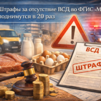 изображение сделано с помощью chatgpt