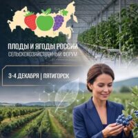 форум