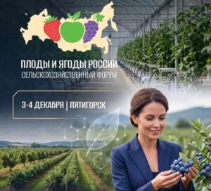 форум