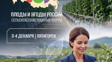 форум