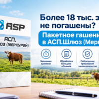 как погасить быстро всд фгис меркурий