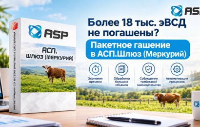как погасить быстро всд фгис меркурий