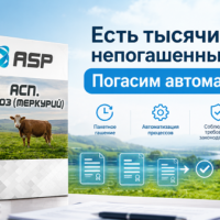 как-погасить-сотни-всд-быстро-фгис-меркурий